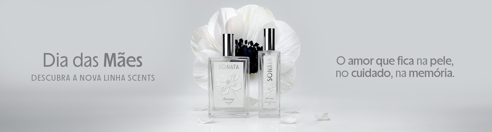 Lançamento Sonata
